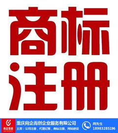 渝中代理記賬 向企而創，在線咨詢助力企業財務無憂
